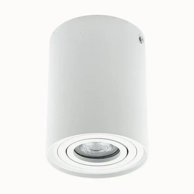 Накладний точковий світильник Altalusse INL-7014D-01 White