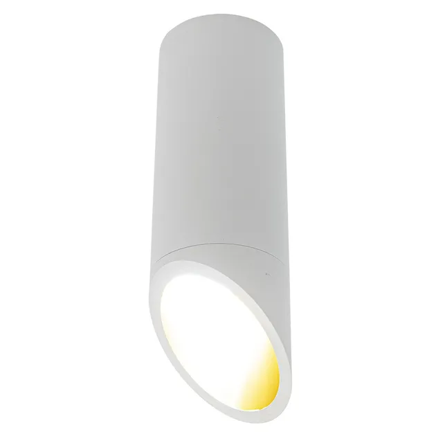Накладний точковий світильник Altalusse INL-7027D-01 White