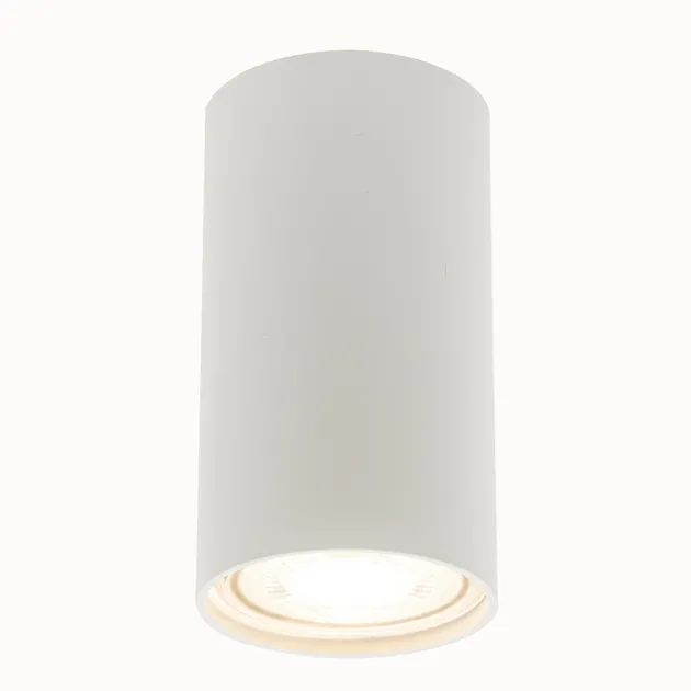 Накладний точковий світильник Altalusse INL-7001D-01 White