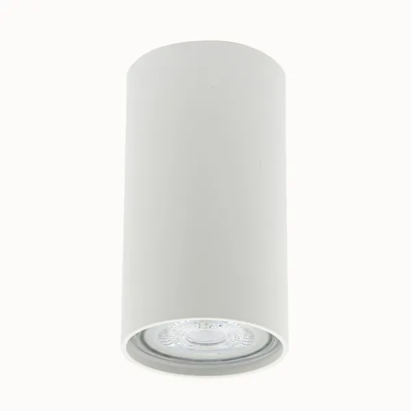 Накладний точковий світильник Altalusse INL-7001D-01 White