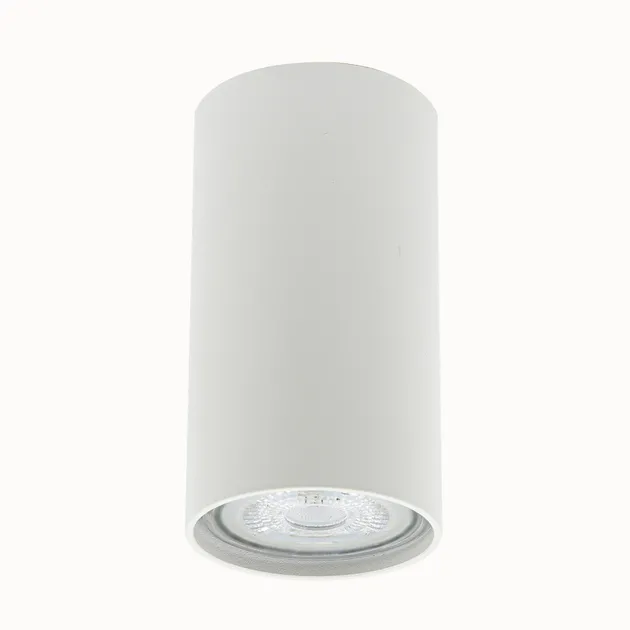 Накладний точковий світильник Altalusse INL-7001D-01 White