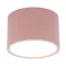 Накладний точковий світильник Altalusse INL-7025D-10 Pink