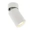 Накладний точковий світильник Altalusse INL-7006D-01 White