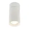 Накладний точковий світильник Altalusse INL-7006D-01 White