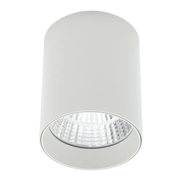 Накладний точковий світильник Altalusse INL-7024D-10 White