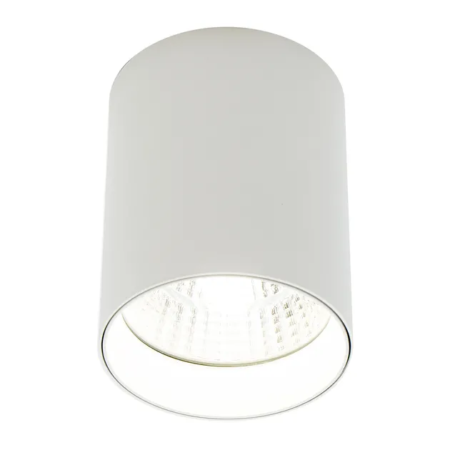 Накладний точковий світильник Altalusse INL-7024D-05 White