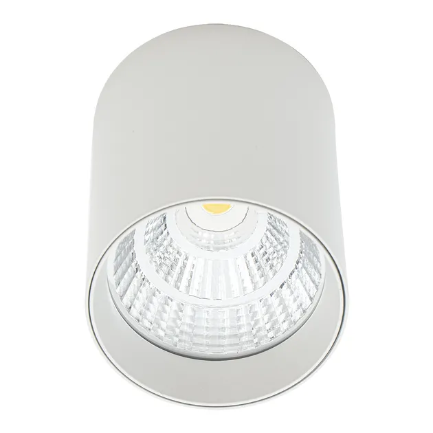 Накладний точковий світильник Altalusse INL-7024D-05 White