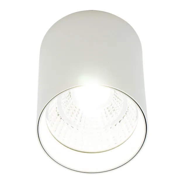 Накладний точковий світильник Altalusse INL-7024D-05 White