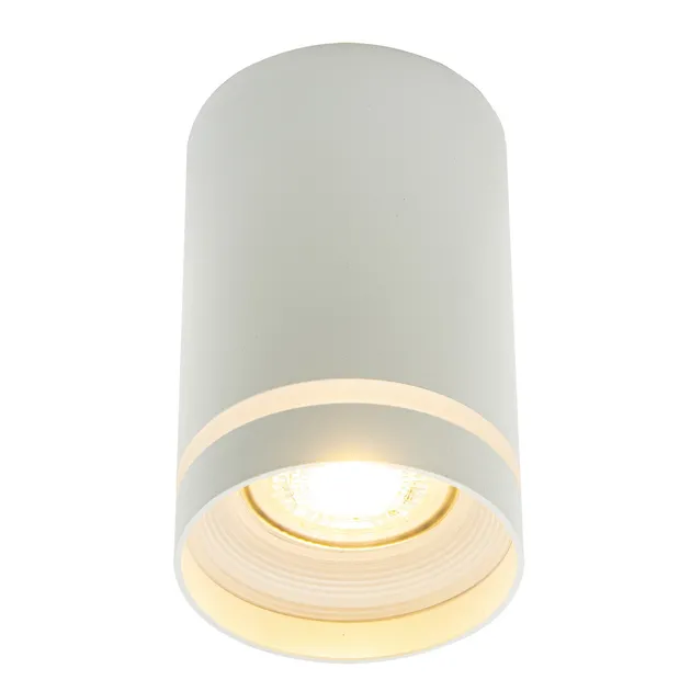 Накладний точковий світильник Altalusse INL-7009D-01 White