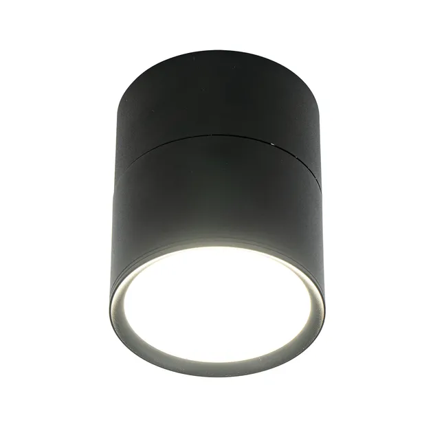 Накладний точковий світильник Altalusse INL-7022D-10 Black