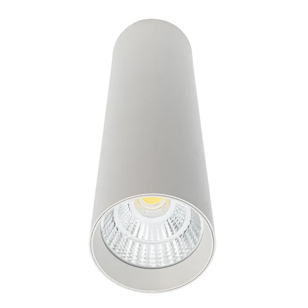 Накладний точковий світильник  Altalusse INL-7024D-15 White
