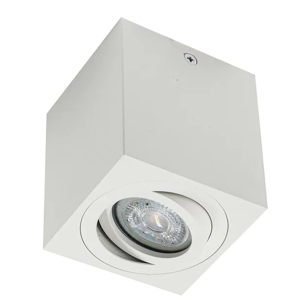 Накладний точковий світильник Altalusse INL-7005D-01 White
