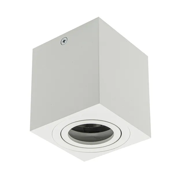 Накладний точковий світильник Altalusse INL-7005D-01 White