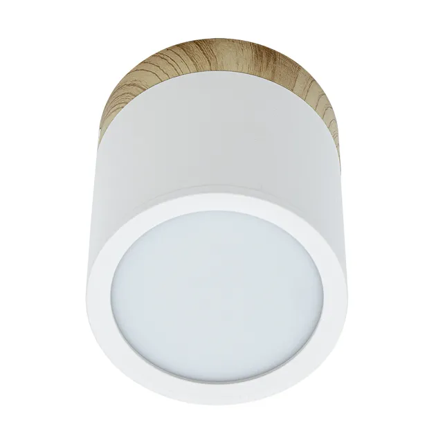 Накладний точковий світильник Altalusse INL-7023D-08 White