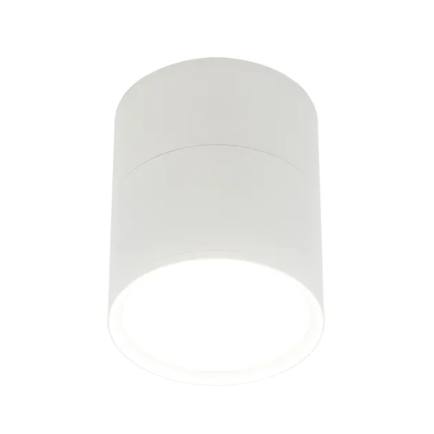 Накладний точковий світильник Altalusse INL-7022D-10 White