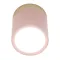 Накладний точковий світильник Altalusse INL-7023D-08 Pink