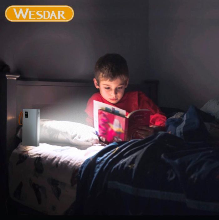 Павербанк Wesdar S511 20000 mAh